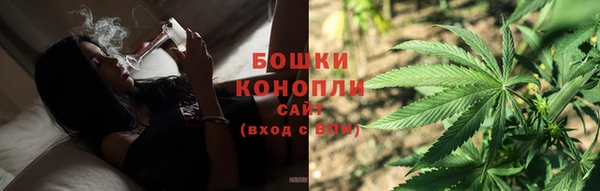 гидра Новозыбков