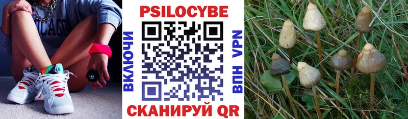 Галлюциногенные грибы мицелий  Верхотурье 